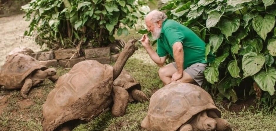亞達伯拉象龜飼養