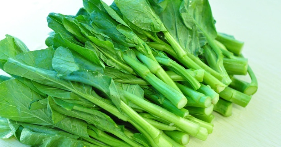 陸龜喜歡吃什麼