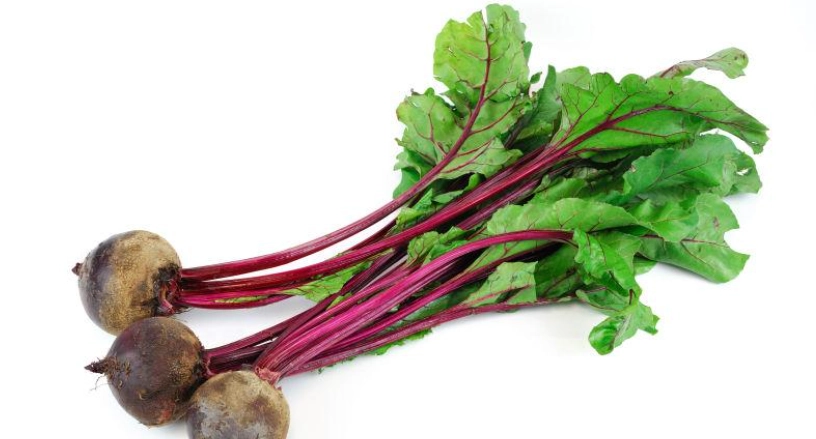 陸龜不能吃的蔬菜