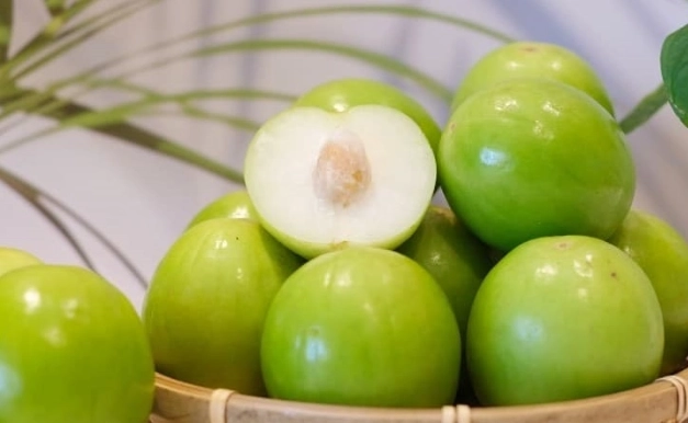 蜜棗對狗安全嗎