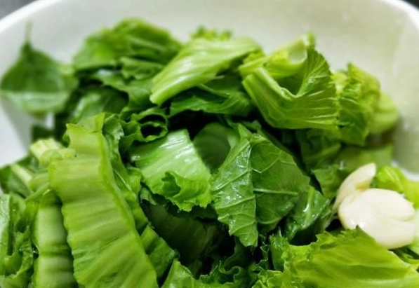 芥菜對狗有害嗎