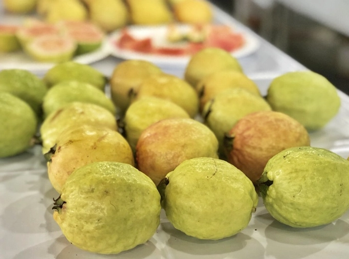 芭樂可以放多久