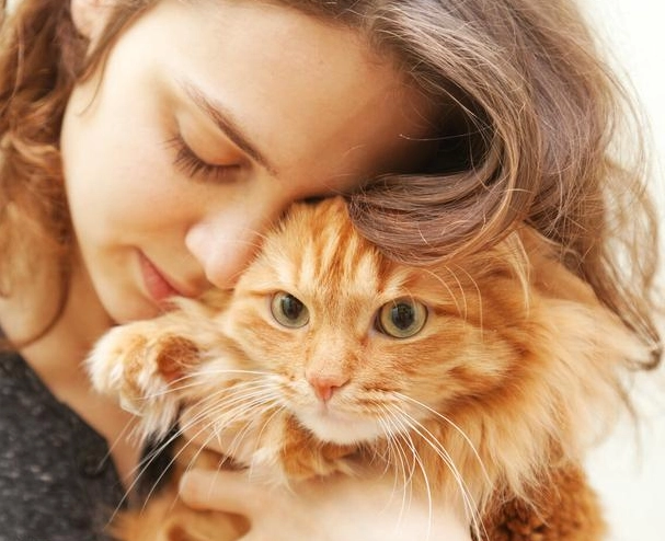 貓咪飼養問題 貓咪飼養問題