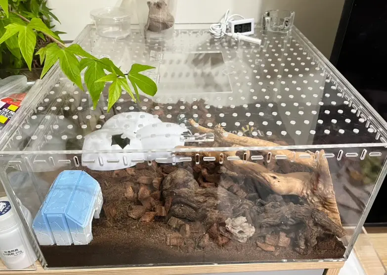 爬蟲飼養箱 爬蟲飼養箱