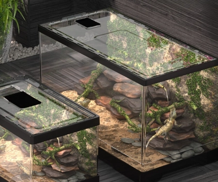 肥尾守宮飼養箱