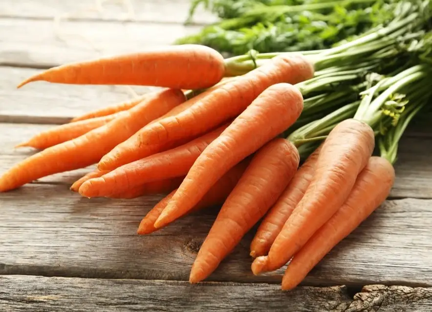 胡蘿蔔副作用 胡蘿蔔副作用