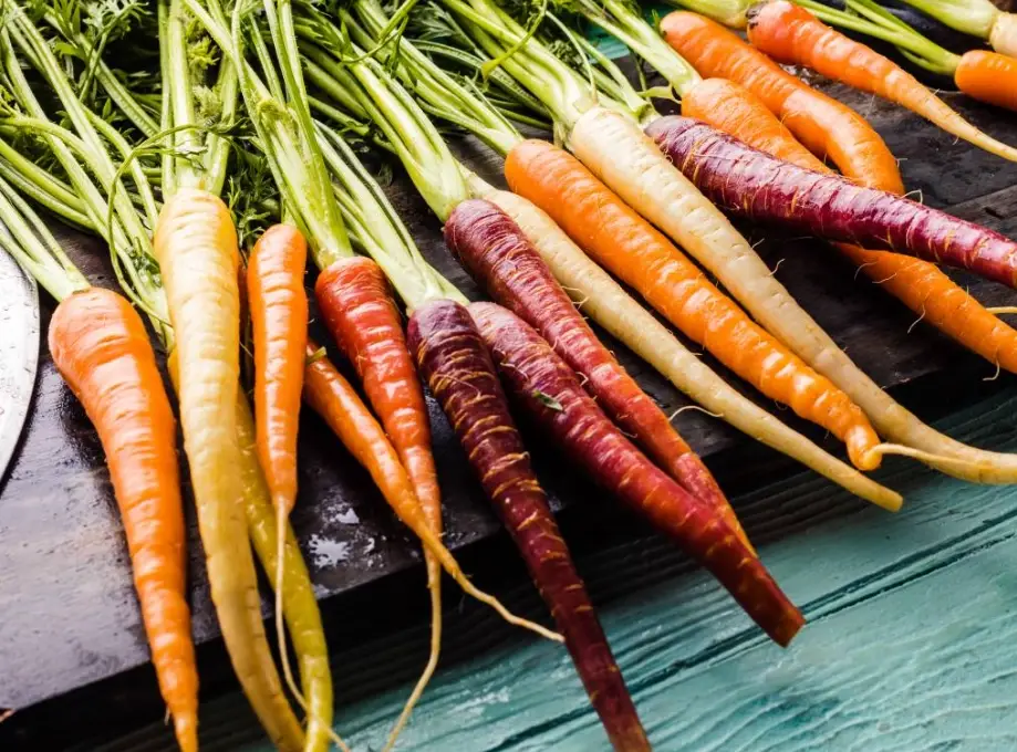 紅蘿蔔不能和什麼一起吃 紅蘿蔔不能和什麼一起吃