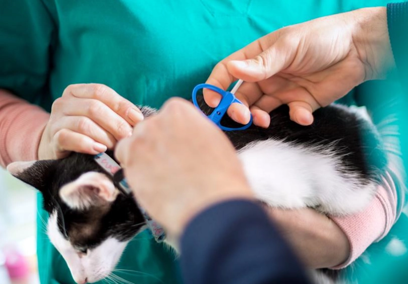 寵物GPS定位器 寵物GPS定位器