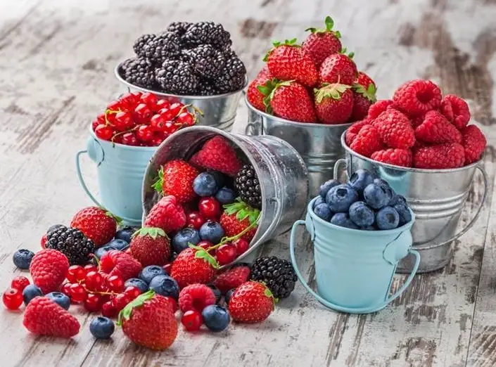 胰臟健康飲食 胰臟健康飲食