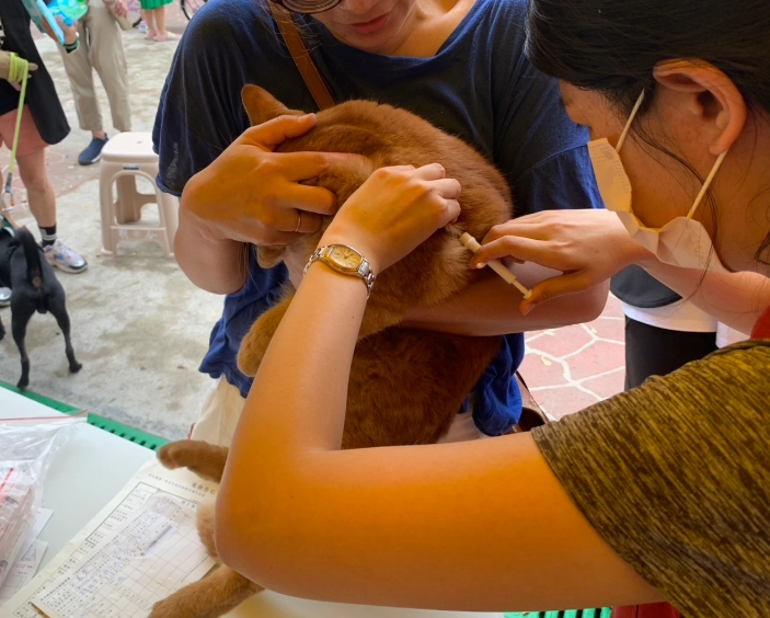 寵物走失協尋 寵物走失協尋