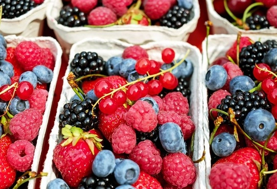 胰臟健康飲食 胰臟健康飲食