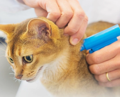 寵物GPS定位器 寵物GPS定位器