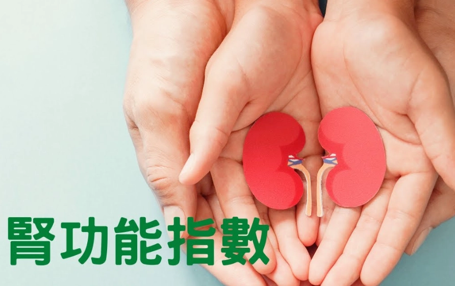 腎功能指數改善指南：從飲食到生活的全方位策略