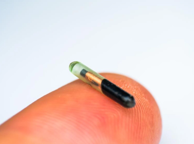 寵物GPS定位器 寵物GPS定位器