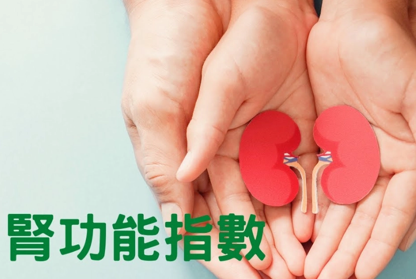 腎臟指數多少要洗腎