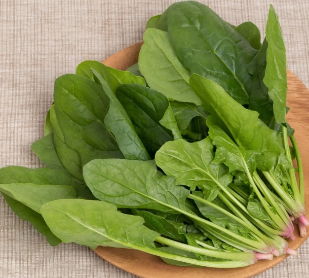 菠菜營養