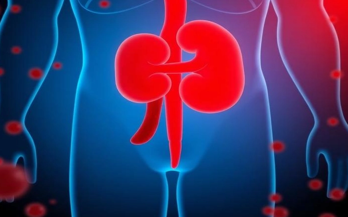 腎功能指數 正常值