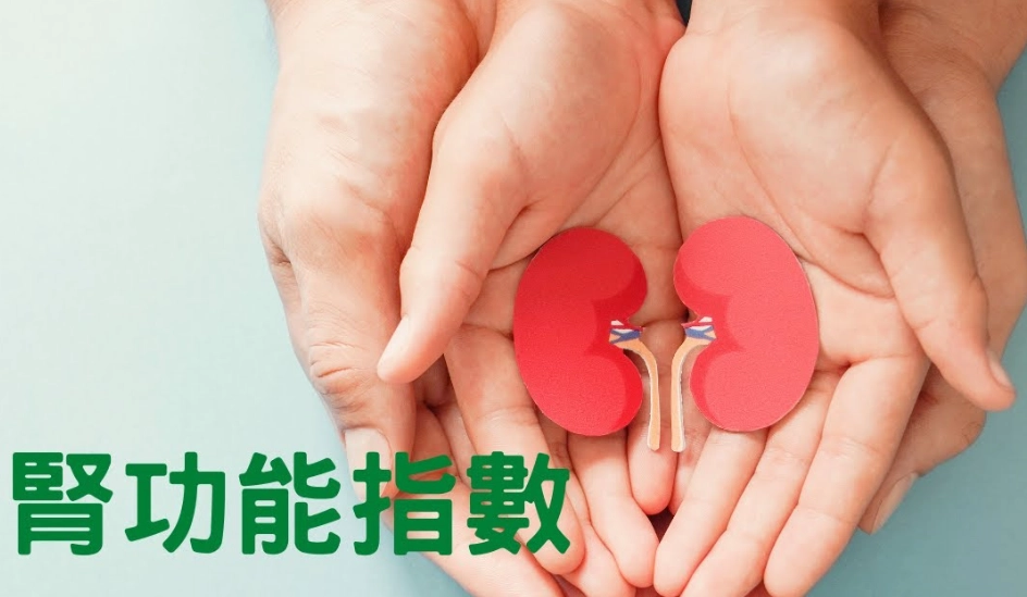 肌酸酐 偏高 原因