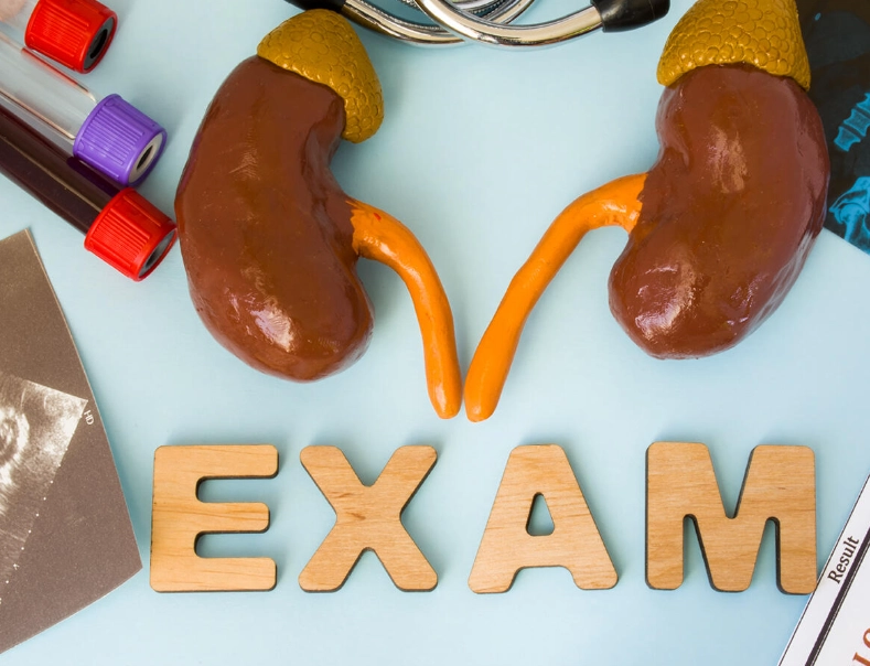 腎絲球過濾率計算 腎絲球過濾率計算