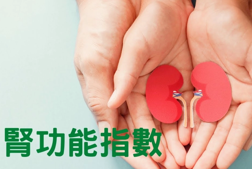 腎功能指數正常值