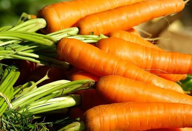 紅蘿蔔 減肥 紅蘿蔔 減肥