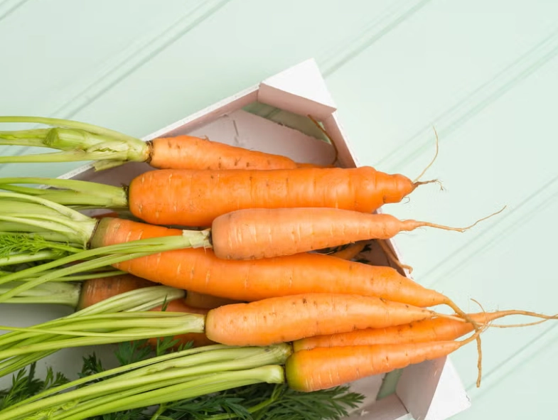 紅蘿蔔好處與壞處 紅蘿蔔好處與壞處