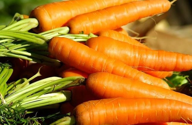 紅蘿蔔好處與壞處 紅蘿蔔好處與壞處