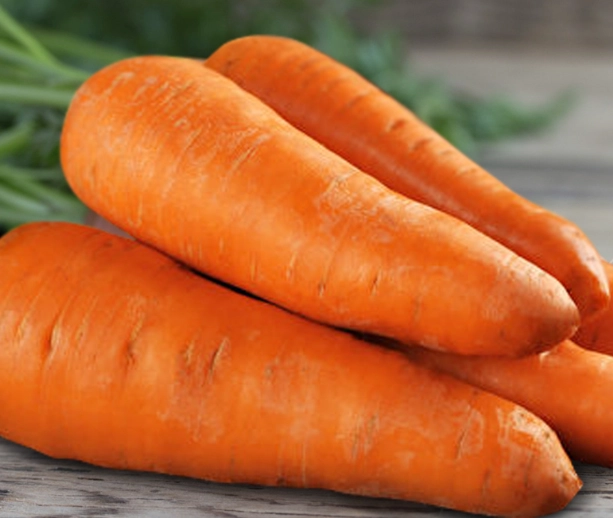 紅蘿蔔好處與壞處 紅蘿蔔好處與壞處