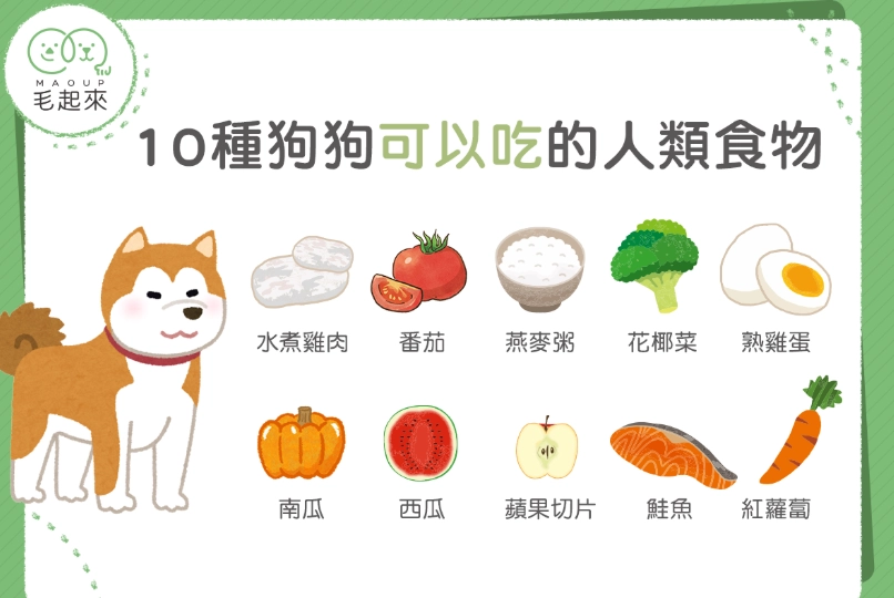 狗吃蝦