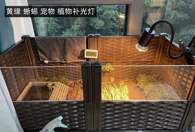 烏龜曬背燈推薦
