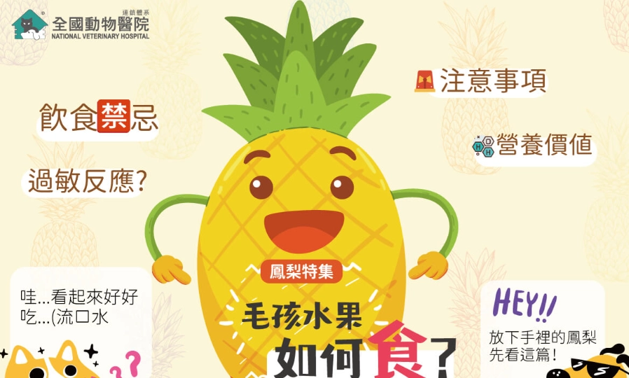 狗可以吃鳳梨嗎