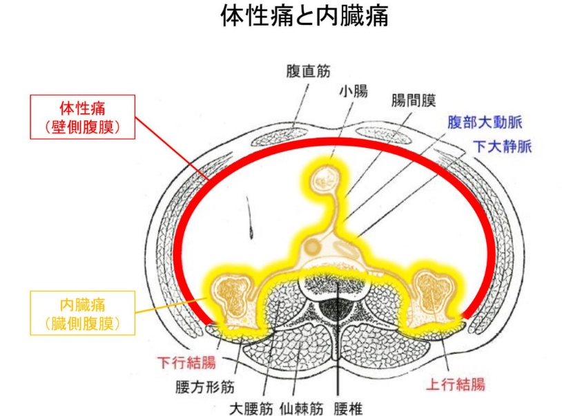 腹膜炎術後照護