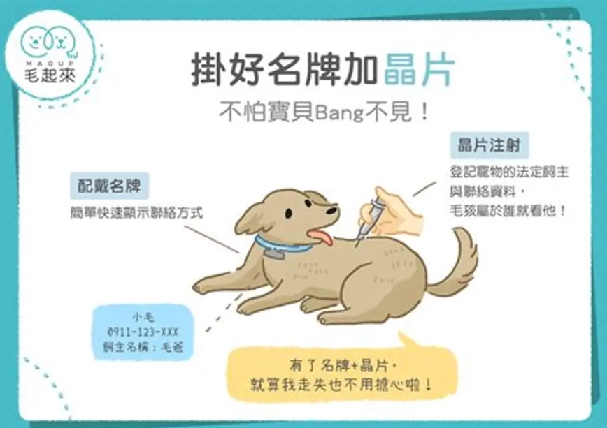 寵物晶片號碼查詢 寵物晶片號碼查詢