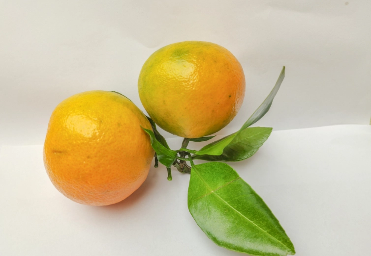 一顆橘子熱量 一顆橘子熱量
