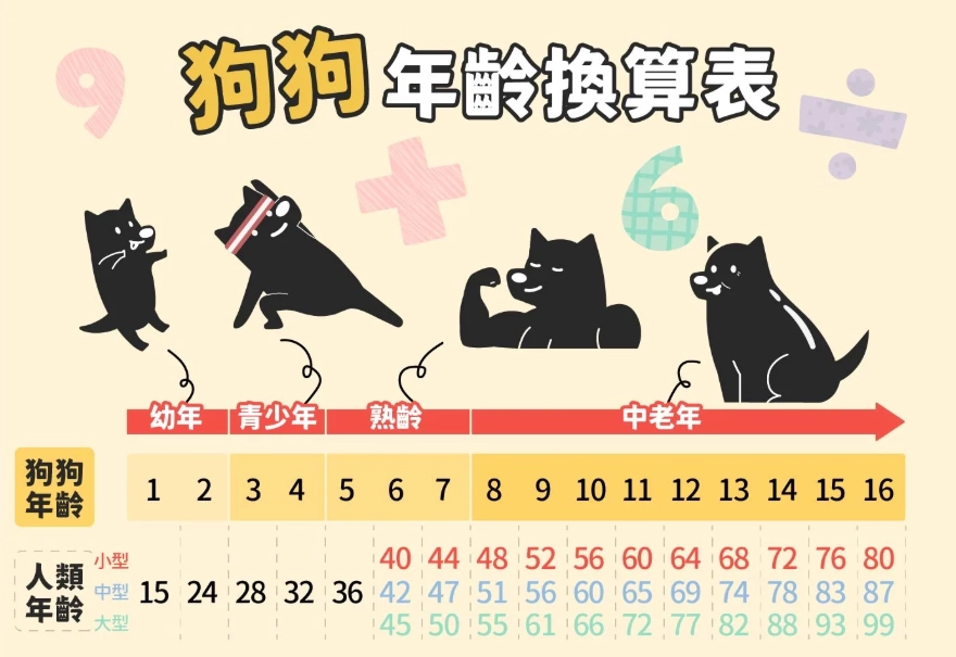 貓咪年齡對照表 貓咪年齡對照表