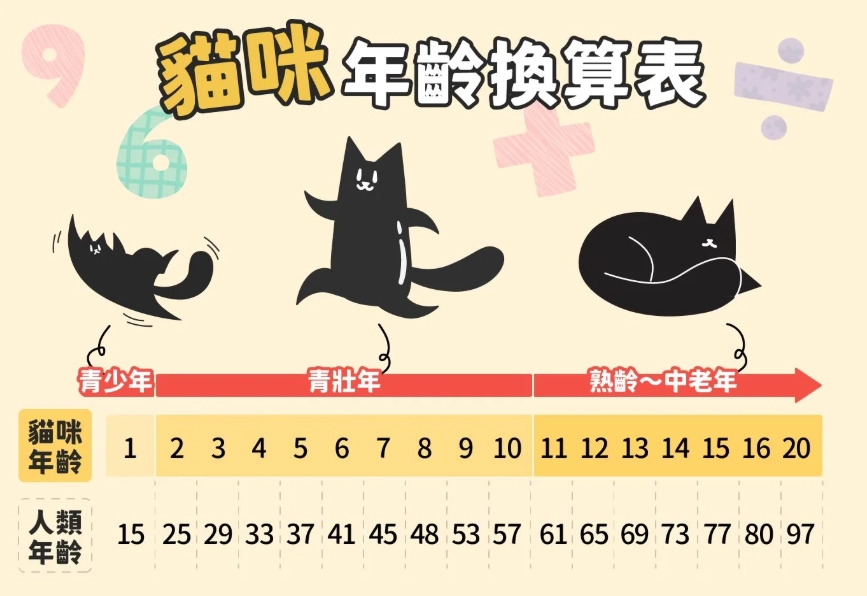貓咪年齡對照表 貓咪年齡對照表