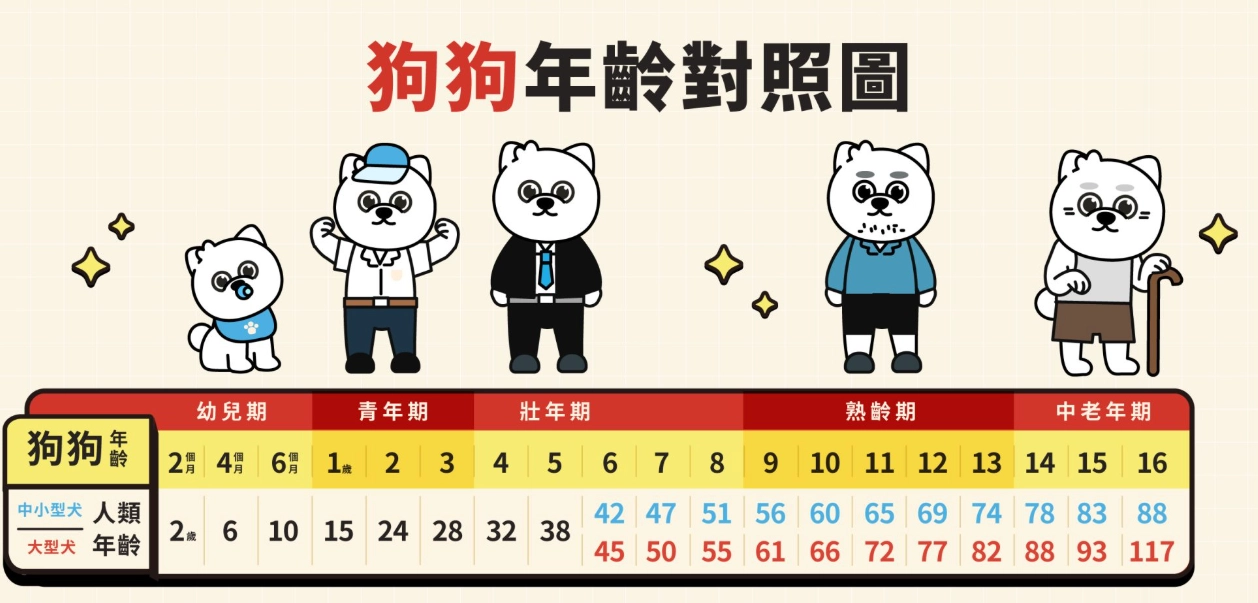 貓咪年齡對照表 貓咪年齡對照表