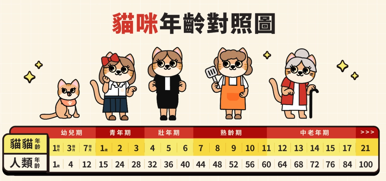 貓咪幾歲 貓咪幾歲