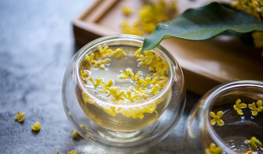 桂花茶禁忌