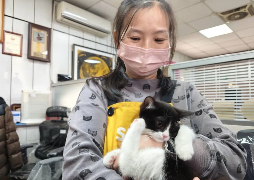 貓咪不能吃什麼