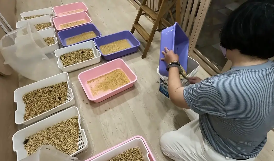 貓砂 回收