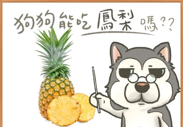 狗狗水果禁忌 狗狗水果禁忌