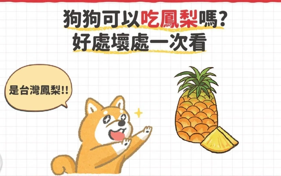 狗狗水果禁忌 狗狗水果禁忌