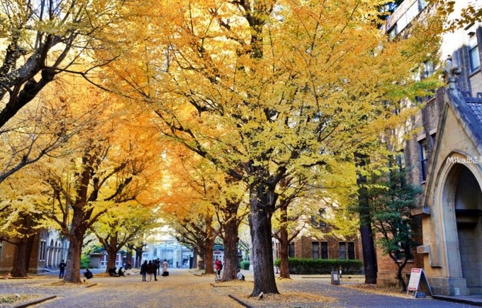 中興新村景點 中興新村景點
