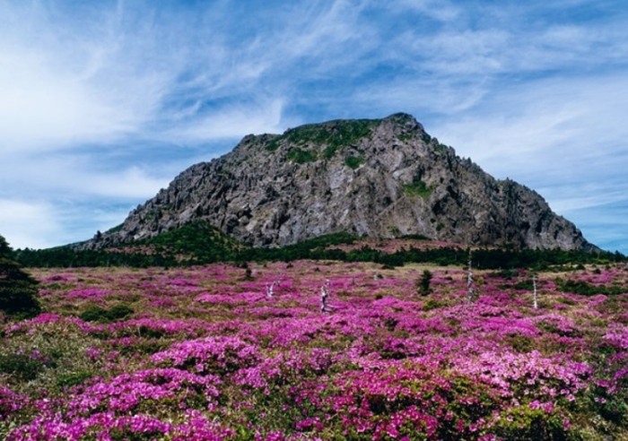 韓國濟州島
