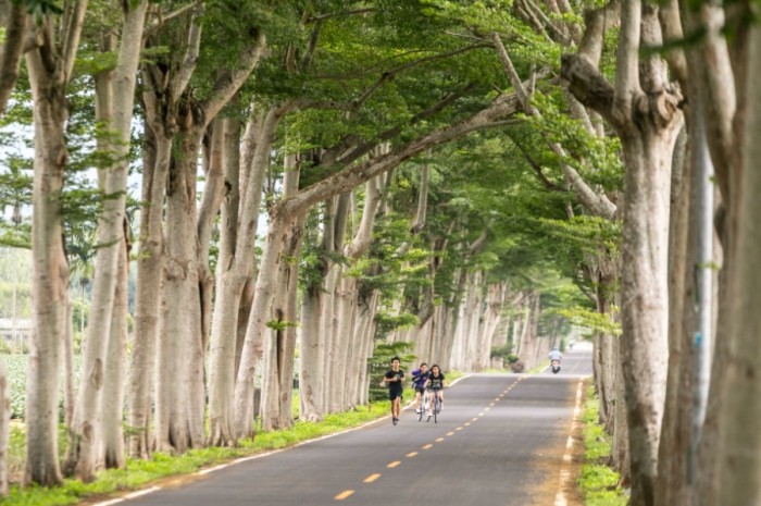 鹿野火車站交通