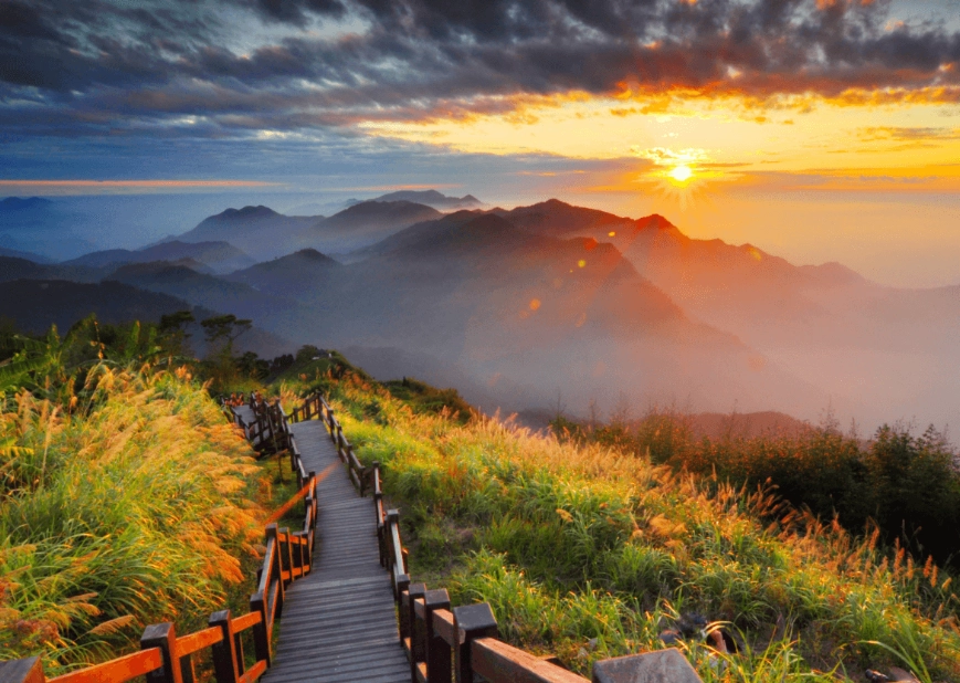 阿里山兩天一夜套裝行程：懶人包攻略與私房景點推薦