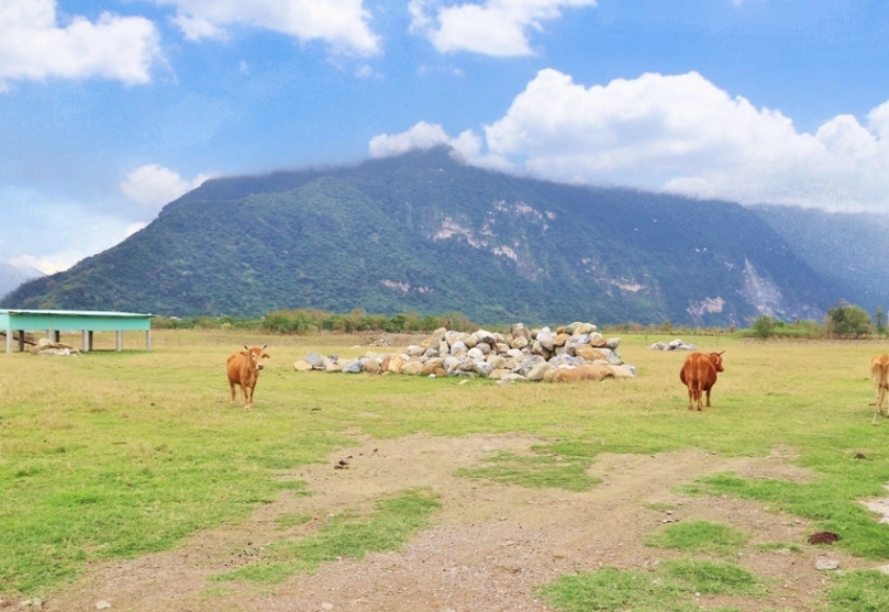 花蓮農場推薦