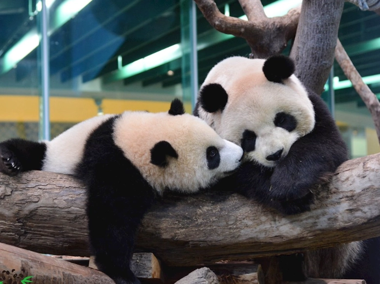 台北週一開放景點