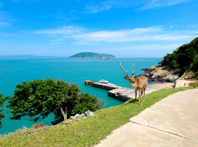 馬祖旅遊交通 馬祖旅遊交通